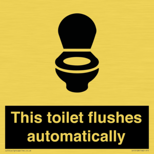 This toilet flushes automatically
